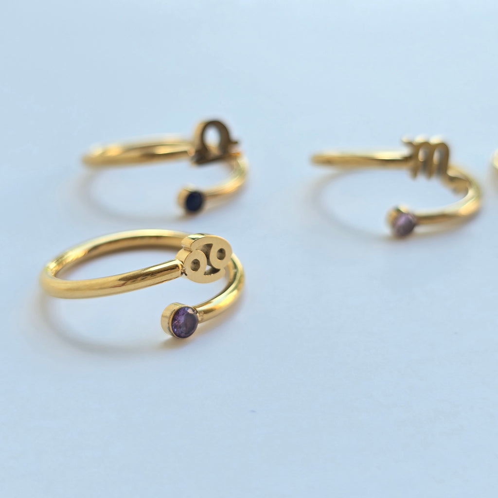 Zodiac Ring | Personalized Gold Zodiac Ring